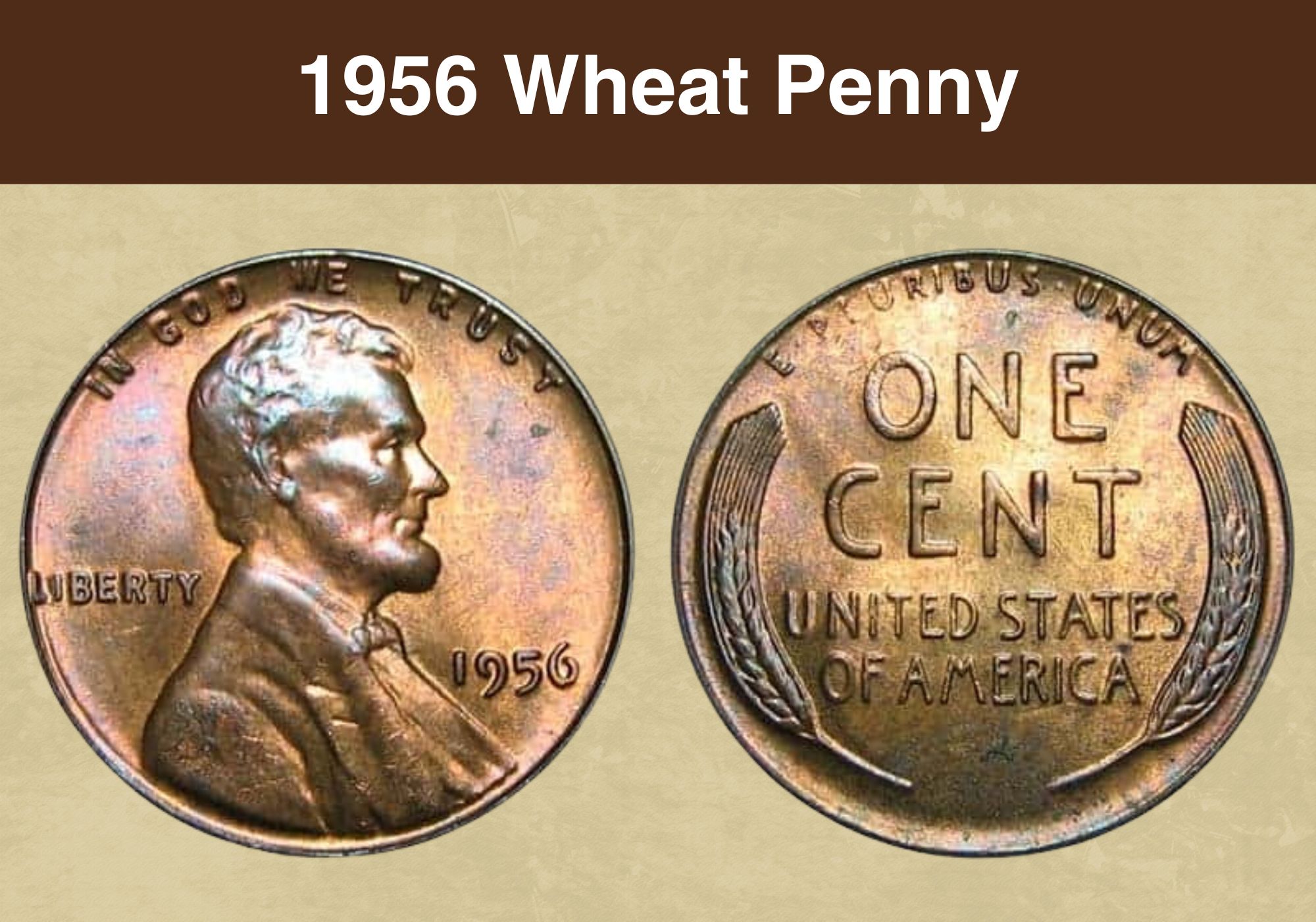 1956 wheat penny obverse and reverse showing Lincoln portrait and wheat stalk design